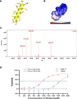 Bomidin: An Optimized Antimicrobial Peptide With Broad Antiviral Activity Against Enveloped Viruses